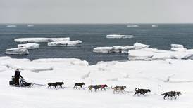 Iditarod joins new international race circuit in an effort to increase exposure, showcase dog care 