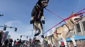 Six former champions among 58 mushers signed up for 2020 Iditarod Trail Sled Dog Race