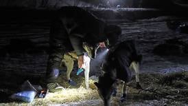 Iditarod set to crown Dallas Seavey as the race’s winningest musher ever