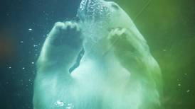 Photos: An afternoon at the Alaska Zoo