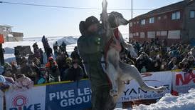 Dallas Seavey clinches 6th Iditarod championship, breaking record for most wins