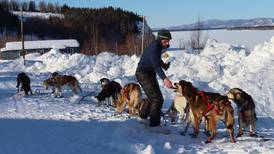 First to White Mountain, Dallas Seavey chases his 6th Iditarod win