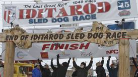 After burled arch collapses in Nome, Iditarod plans replacement for 2025 race
