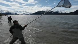 Photos: Dipnetting for hooligan on Turnagain Arm
